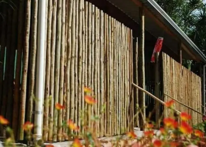 Chales Na Mata Ubatuba